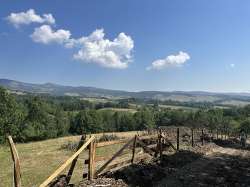 Pozega gayrimenkul - Na prodaju zemljiste ukupne povrsine 80 ari, Tometino polje - Divčibare