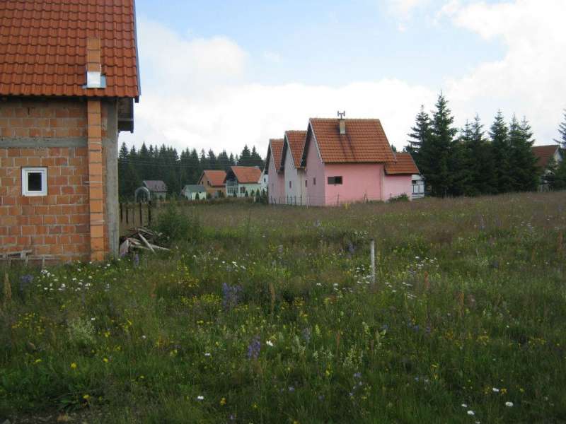 slika-58877-0-2.jpg