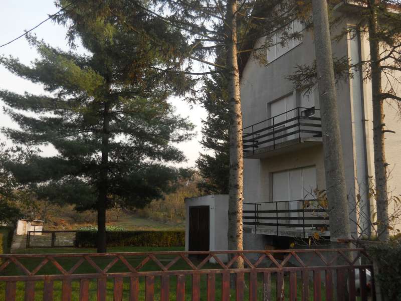 slika-59331-2-1.jpg