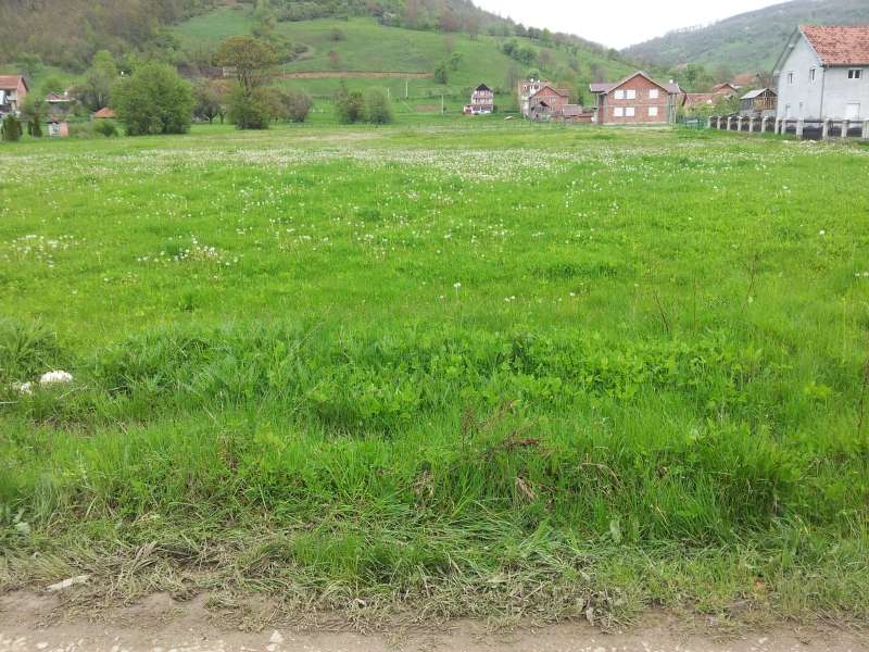slika-59368-1-1.jpg