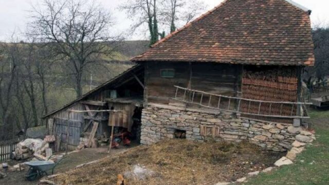 slika-59369-2-1.jpg