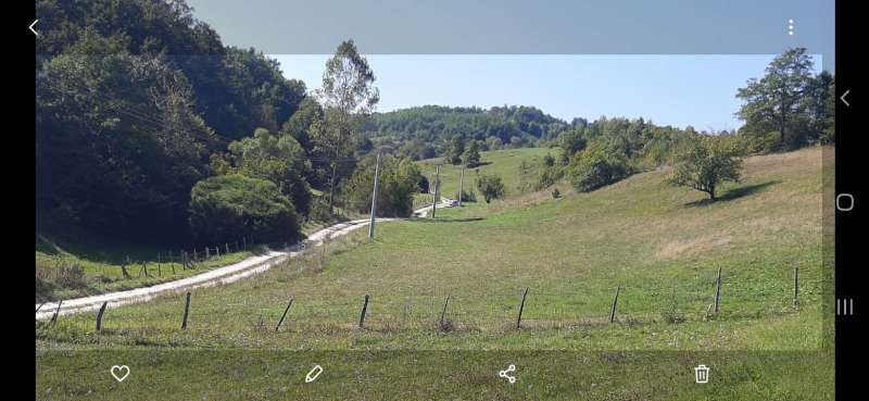 slika-59977-2-1.jpg