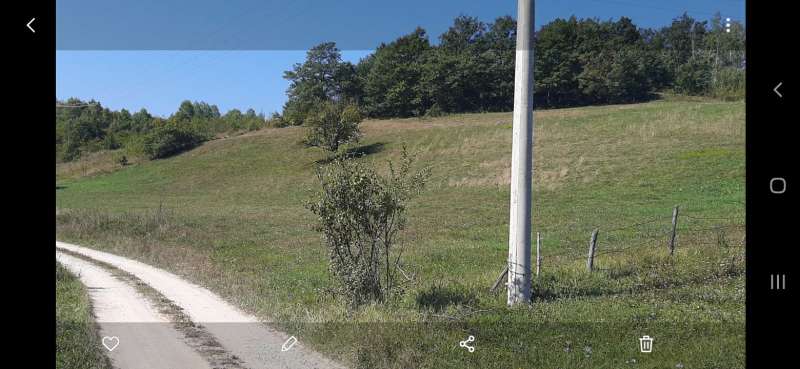 slika-59977-3-2.jpg