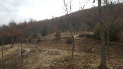 tm_slika-59355-12-1.jpg