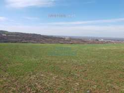 tm_slika-59966-0-1.jpg