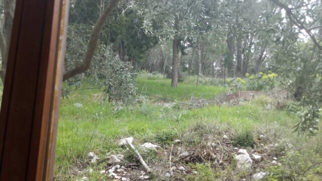 10-viber_image_2023-03-13_20-12-05-865
