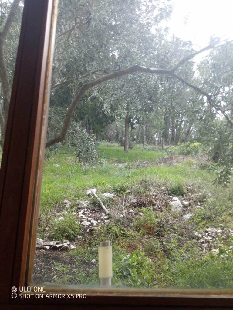 10-viber_image_2023-03-13_20-12-05-865