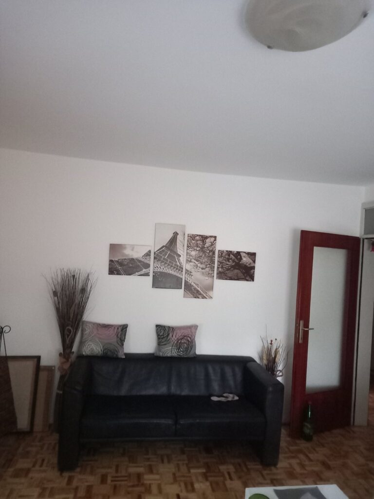 1000017366
