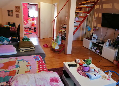 005-viber_slika_2021-01-27_12-11-55-4-manja