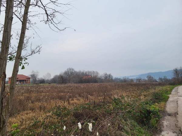 viber_image_2025-12-05_08-40-28-603