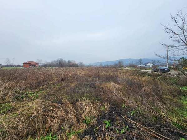 viber_image_2025-12-05_08-40-28-658