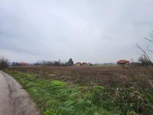 viber_image_2025-12-05_08-40-28-717