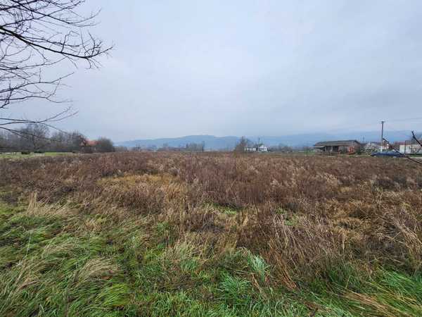 viber_image_2025-12-05_08-40-28-770