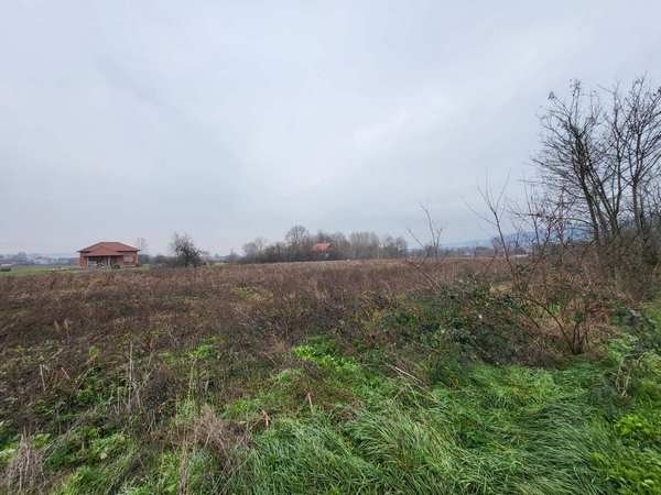 viber_image_2025-12-05_08-40-28-826