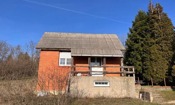 2viber_image_2026-03-18_14-49-58-025