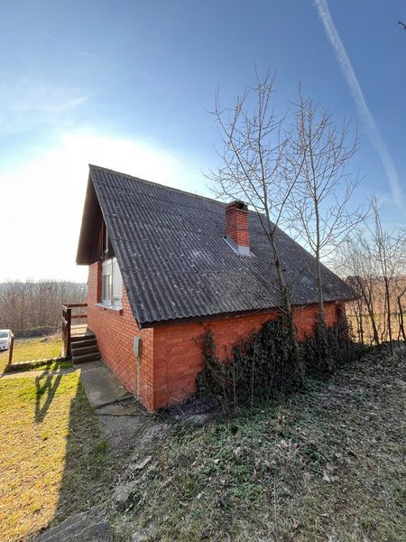 2viber_image_2026-03-18_14-50-14-716