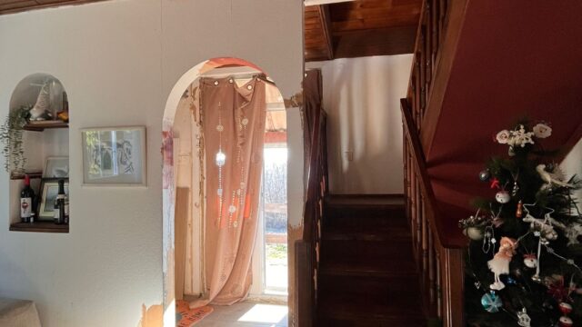 viber_image_2026-03-18_14-49-30-758