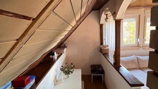 viber_image_2026-03-18_14-49-42-101