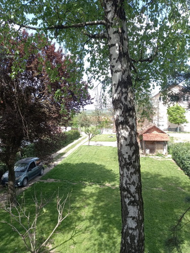 003-WhatsApp-Image-2025-04-25-at-12.06.39-manja